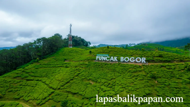 Puncak Bogor: Destinasi Wisata Pegunungan